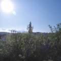 Webcam_20200622-083000