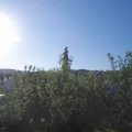 Webcam_20200623-074500