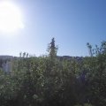 Webcam_20200623-081500