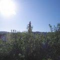 Webcam_20200623-083000