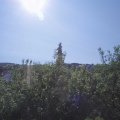 Webcam_20200624-091500