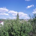 Webcam_20200626-171500