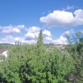 Webcam_20200627-174500