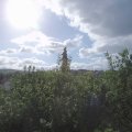 Webcam_20200706-084500