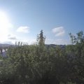 Webcam_20200707-074500