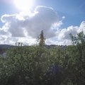 Webcam_20200707-091500