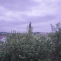 Webcam_20200708-051500