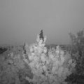 Webcam_20200716-220000