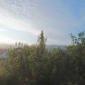 Webcam_20200717-063000