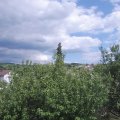 Webcam_20200717-154500