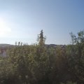Webcam_20200718-073000