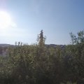 Webcam_20200718-080000