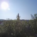 Webcam_20200718-083000