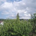 Webcam_20200720-161500