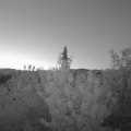 Webcam_20200722-050000