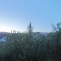 Webcam_20200722-051500