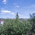 Webcam_20200722-151500