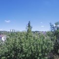 Webcam_20200723-144500