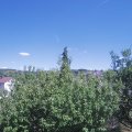 Webcam_20200723-151500