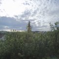 Webcam_20200724-084500