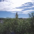 Webcam_20200724-110000