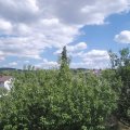 Webcam_20200724-151500