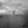 Webcam_20200725-051500