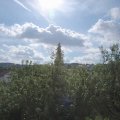 Webcam_20200725-094500