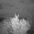 Webcam_20200725-220000