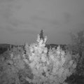 Webcam_20200726-051500
