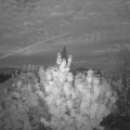 Webcam_20200727-220000