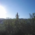Webcam_20200729-074500