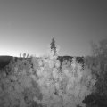 Webcam_20200731-050000
