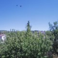Webcam_20200731-143000