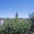 Webcam_20200731-144500