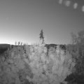 Webcam_20200801-050000