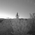 Webcam_20200801-051500