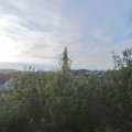 Webcam_20200801-073000