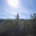 Webcam_20200801-093000