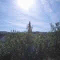 Webcam_20200801-094500