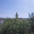 Webcam_20200801-123000