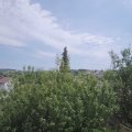 Webcam_20200801-131500