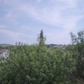 Webcam_20200801-133000