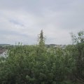 Webcam_20200801-150000