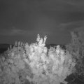 Webcam_20200801-220000
