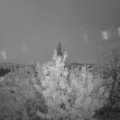 Webcam_20200802-053000