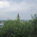 Webcam_20200802-073000