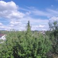 Webcam_20200802-170000
