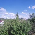 Webcam_20200802-171500