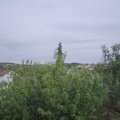 Webcam_20200803-174500